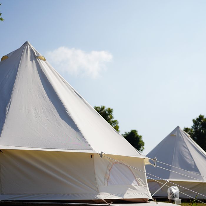 Citrus Bell Tent